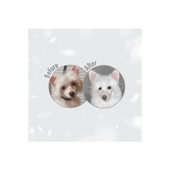 Nature's Protection Superior Care White Dogs Grain Free Hvit fisk Voksne store raser 10 kg, tørrfôr uten korn til voksne hunder av store raser STORE FRÅKORN - Bilde 4